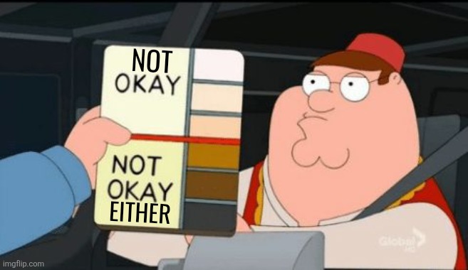 Family Guy Okay Not Okay | NOT EITHER | image tagged in family guy okay not okay | made w/ Imgflip meme maker