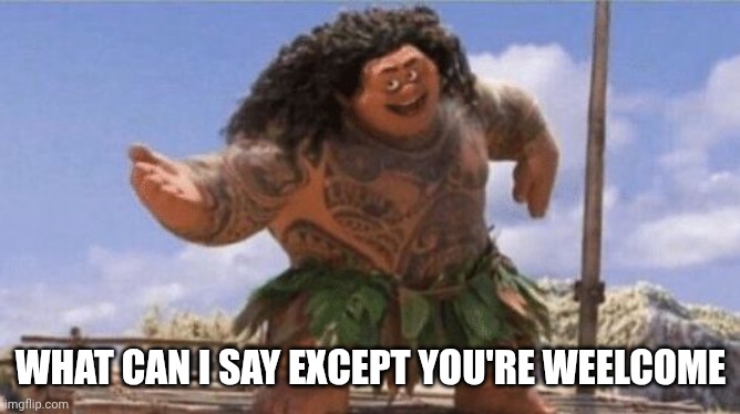 What Can I Say Except X? | WHAT CAN I SAY EXCEPT YOU'RE WEELCOME | image tagged in what can i say except x | made w/ Imgflip meme maker