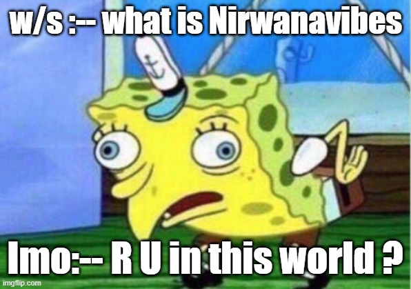 Mocking Spongebob | w/s :-- what is Nirwanavibes; Imo:-- R U in this world ? | image tagged in memes,mocking spongebob | made w/ Imgflip meme maker