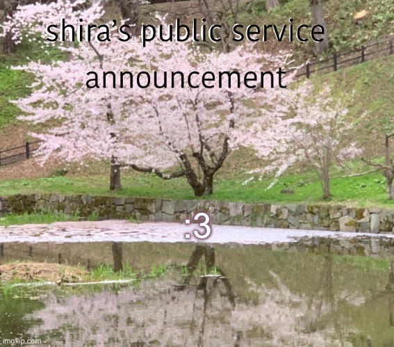shira’s PSA | :3 | image tagged in shira s psa | made w/ Imgflip meme maker