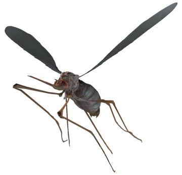 Fallout 4 Bloodbug Blank Meme Template