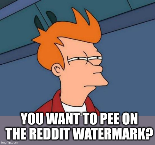 Futurama Fry Meme | YOU WANT TO PEE ON THE REDDIT WATERMARK? | image tagged in memes,futurama fry | made w/ Imgflip meme maker