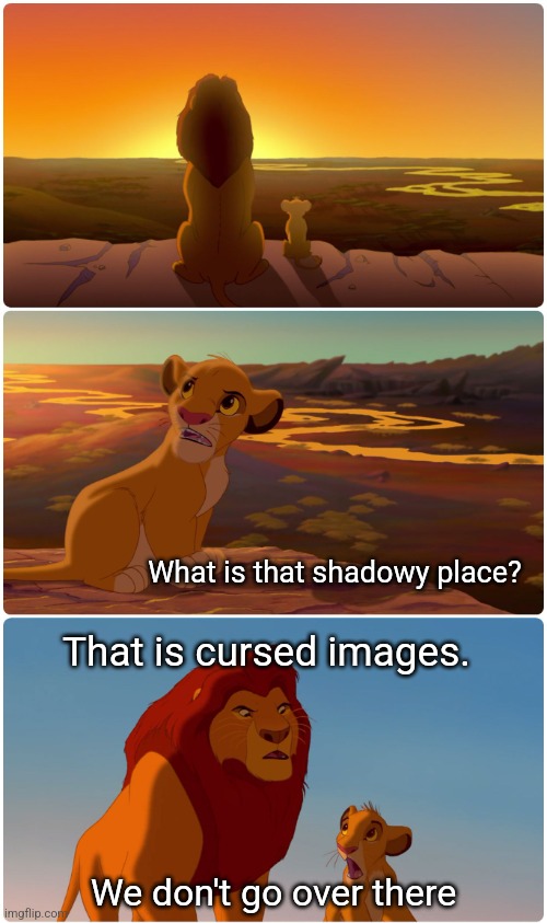 Shadowy Place Lion King | What is that shadowy place? That is cursed images. We don't go over there | image tagged in shadowy place lion king | made w/ Imgflip meme maker