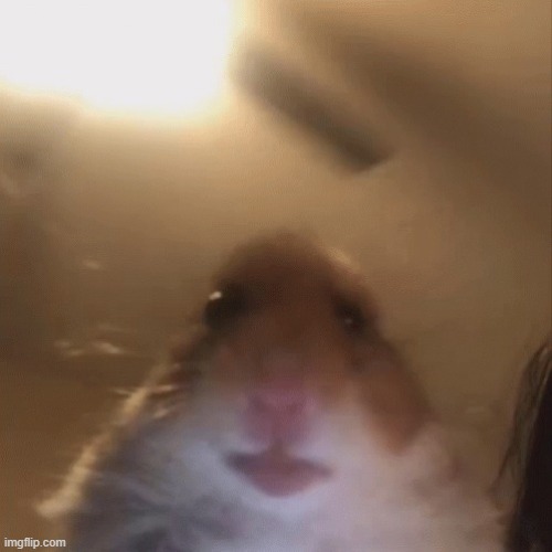 gm chat | made w/ Imgflip meme maker
