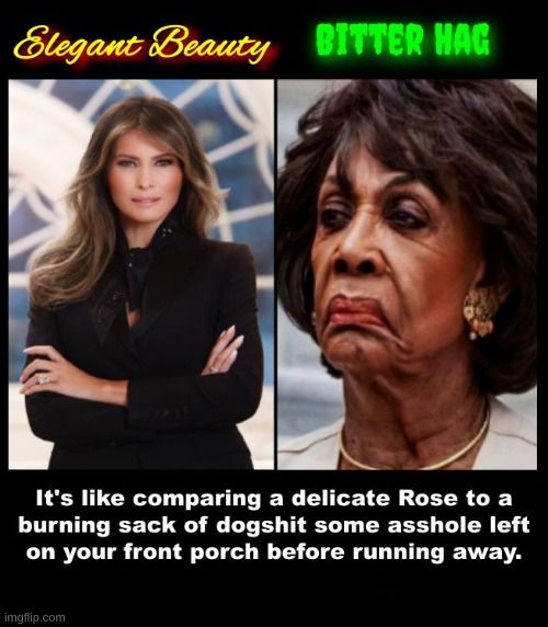 From an aesthetic perspective, the truth is undeniable! | image tagged in melania trump,maxine waters,donald trump,democrats,politics | made w/ Imgflip meme maker