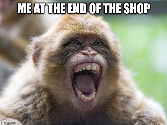 Monkey with wide-open mouth | ME AT THE END OF THE SHOP | image tagged in monkey with wide-open mouth | made w/ Imgflip meme maker