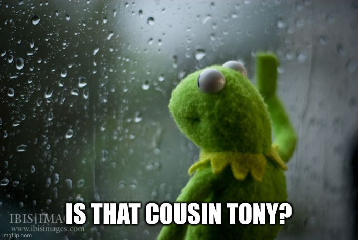 kermit window | IS THAT COUSIN TONY? | image tagged in kermit window | made w/ Imgflip meme maker