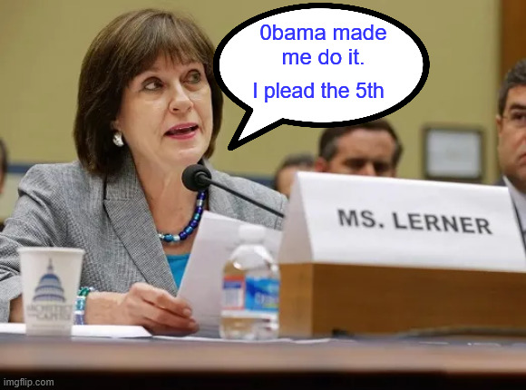 I plead the 5th 0bama made me do it. | made w/ Imgflip meme maker