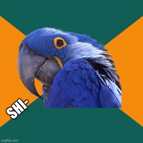 Paranoid Parrot Meme | SHI- | image tagged in memes,paranoid parrot | made w/ Imgflip meme maker