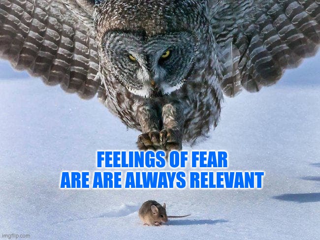 Feelings of fear are always relevant | FEELINGS OF FEAR ARE ARE ALWAYS RELEVANT | image tagged in fear,autism | made w/ Imgflip meme maker
