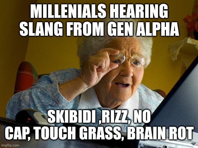 Grandma Finds The Internet | MILLENIALS HEARING SLANG FROM GEN ALPHA; SKIBIDI ,RIZZ, NO CAP, TOUCH GRASS, BRAIN ROT | image tagged in memes,grandma finds the internet | made w/ Imgflip meme maker