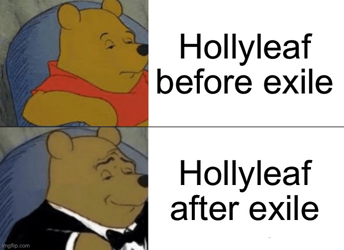 Tuxedo Winnie The Pooh | Hollyleaf before exile; Hollyleaf after exile | image tagged in memes,tuxedo winnie the pooh | made w/ Imgflip meme maker