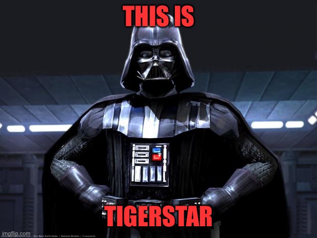 Darth Vader | THIS IS; TIGERSTAR | image tagged in darth vader | made w/ Imgflip meme maker