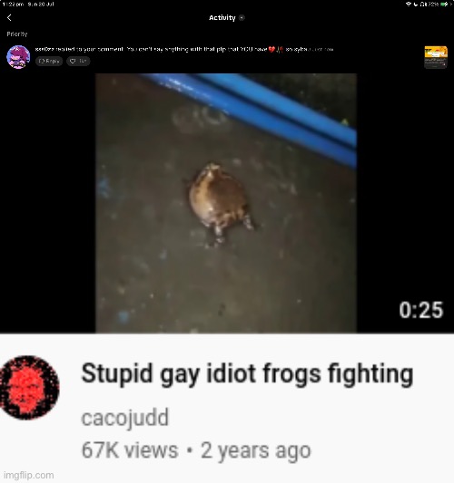 fuckass deltarune fan | image tagged in stupid gay idiot frogs fighting | made w/ Imgflip meme maker