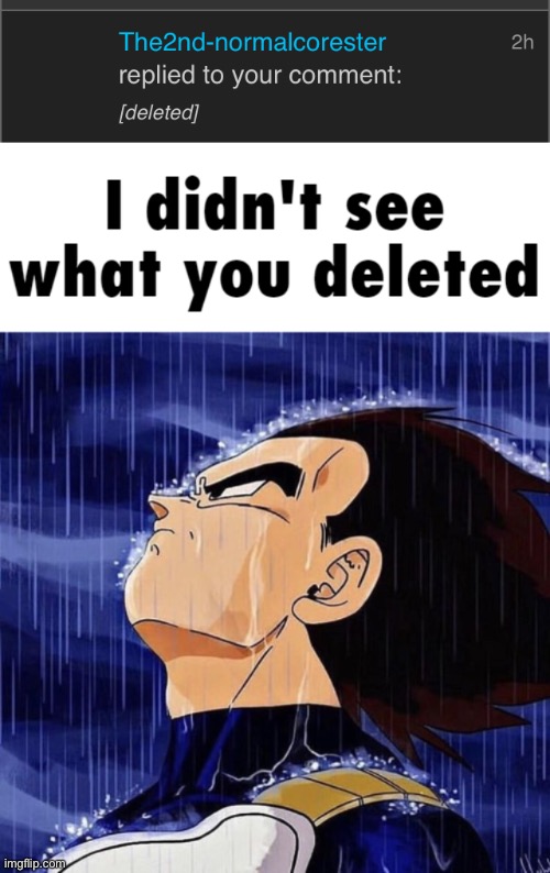 image tagged in i didn't see what you deleted | made w/ Imgflip meme maker