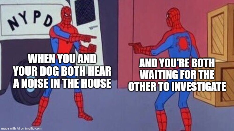 Get Up Dog | WHEN YOU AND YOUR DOG BOTH HEAR A NOISE IN THE HOUSE; AND YOU'RE BOTH WAITING FOR THE OTHER TO INVESTIGATE | image tagged in spiderman pointing at spiderman | made w/ Imgflip meme maker