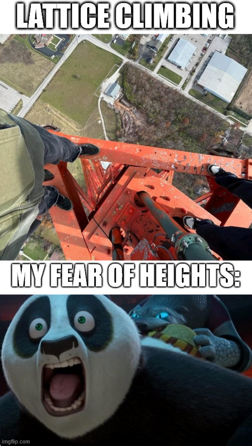 Climbing meme | LATTICE CLIMBING; MY FEAR OF HEIGHTS: | image tagged in the lattice climbers,kung fu panda,lattice climbing,po,memes | made w/ Imgflip meme maker