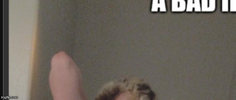 nose who though | made w/ Imgflip meme maker