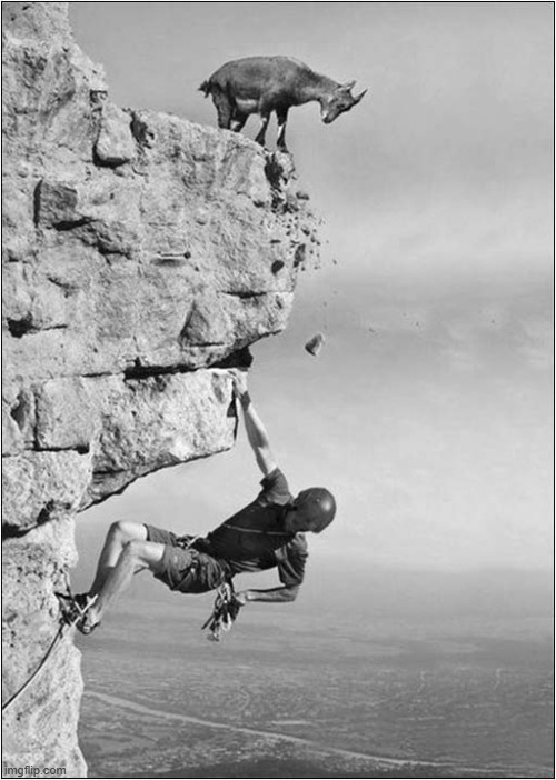 Goat Vs Climber ! | image tagged in cliff,goat,climber | made w/ Imgflip meme maker