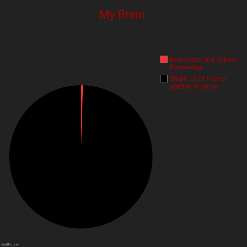 My Brain | My Brain | Stupid stuff I never needed to know, Brain Cells and School Knowledge | image tagged in charts,pie charts,brain,relatable memes | made w/ Imgflip chart maker