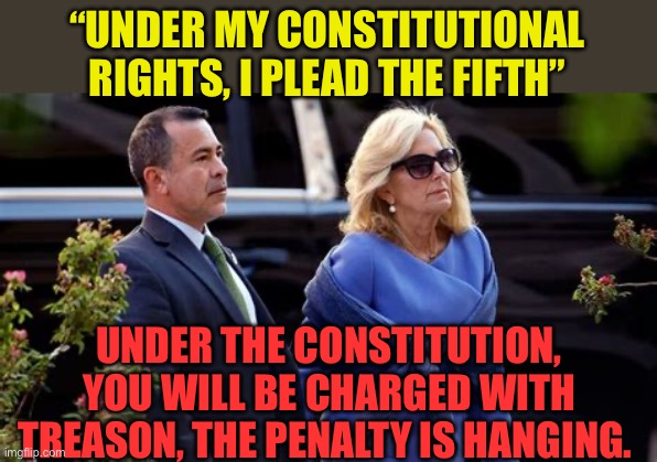 The “Fifth” doesn’t protect you from Treason | “UNDER MY CONSTITUTIONAL RIGHTS, I PLEAD THE FIFTH”; UNDER THE CONSTITUTION, YOU WILL BE CHARGED WITH TREASON, THE PENALTY IS HANGING. | image tagged in gifs,democrats,treason,corruption,scandal | made w/ Imgflip meme maker