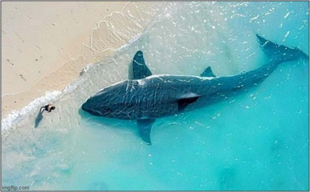 Good Morning Mr Megalodon ! | image tagged in good morning,megalodon,ai | made w/ Imgflip meme maker