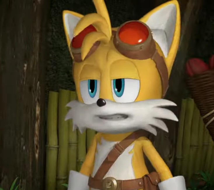 tails why Blank Meme Template