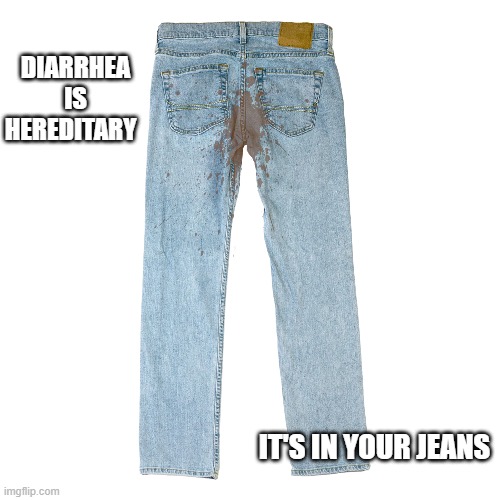 Diarrhea is hereditary. It's in your jeans.  - funny - | DIARRHEA IS HEREDITARY; IT'S IN YOUR JEANS | image tagged in funny,diarrhea,humor,play on words,jeans,joke | made w/ Imgflip meme maker