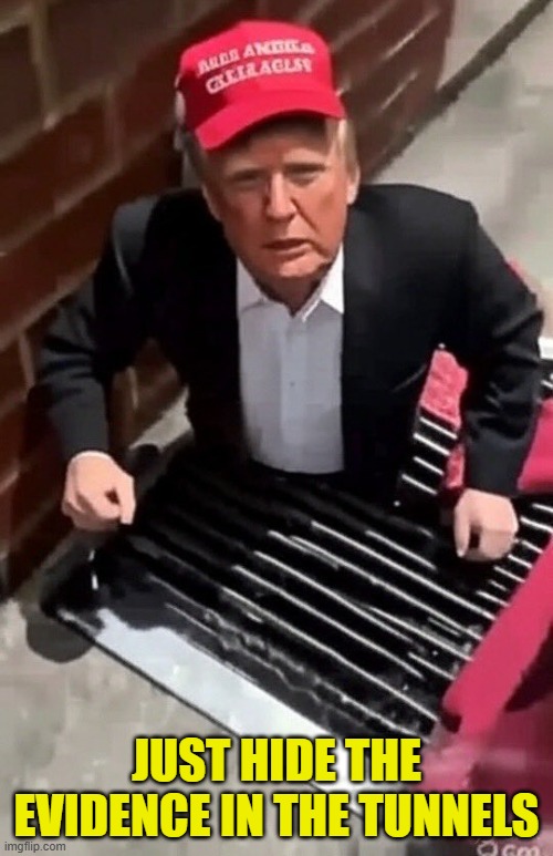 OWNED | JUST HIDE THE EVIDENCE IN THE TUNNELS | image tagged in israel,maga,jeffrey epstein,epstein,pedo,pedophile | made w/ Imgflip meme maker