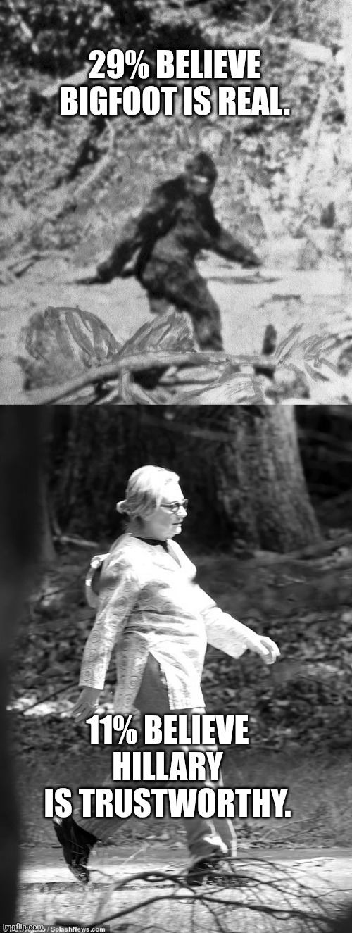 29% BELIEVE BIGFOOT IS REAL. 11% BELIEVE HILLARY IS TRUSTWORTHY. | made w/ Imgflip meme maker
