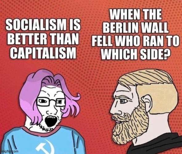 Liberals choose 'feelings over facts'... | image tagged in socialism,democratic socialism,capitalism,choose wisely,liberal logic,liberalism | made w/ Imgflip meme maker