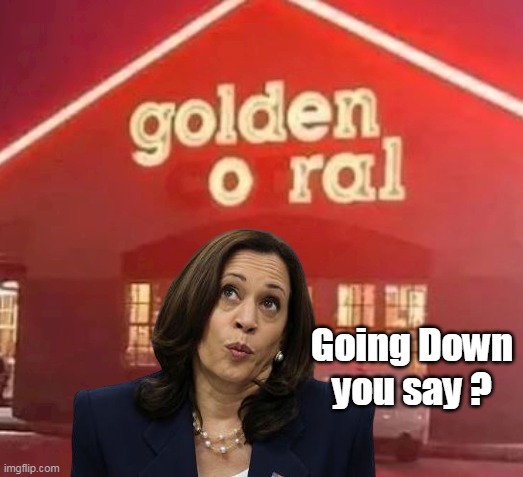 Going Down you say ? | made w/ Imgflip meme maker