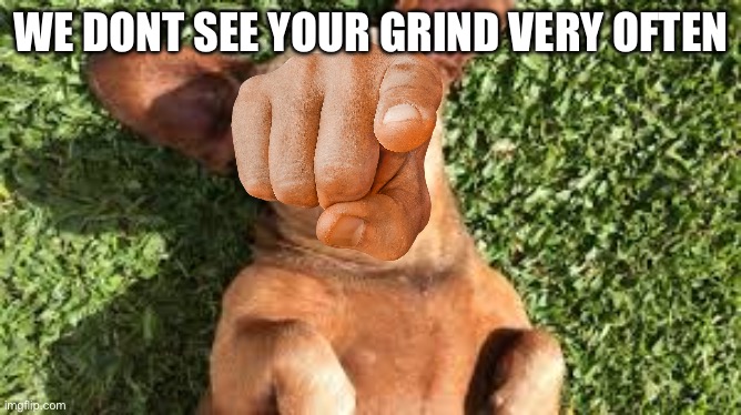 snoozing dog | WE DONT SEE YOUR GRIND VERY OFTEN | image tagged in snoozing dog | made w/ Imgflip meme maker