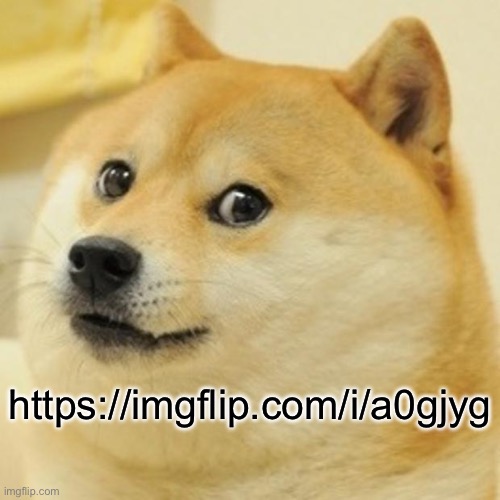 gjyg | https://imgflip.com/i/a0gjyg | image tagged in memes,doge | made w/ Imgflip meme maker