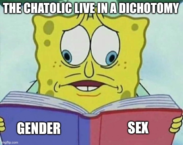 Catholic | THE CHATOLIC LIVE IN A DICHOTOMY; SEX; GENDER | image tagged in cross eyed spongebob | made w/ Imgflip meme maker