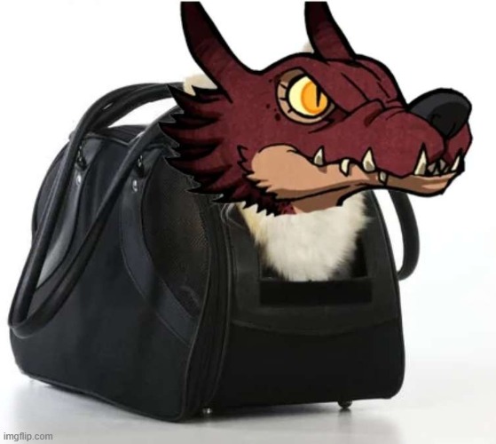 Kobold purse | image tagged in kobold purse | made w/ Imgflip meme maker