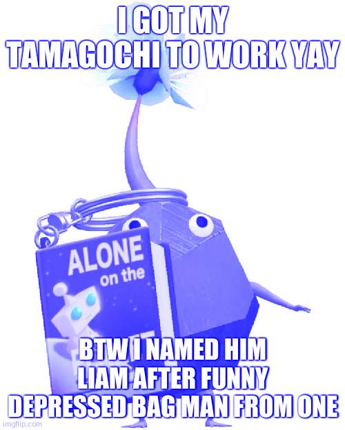 Book rock pikmin | I GOT MY TAMAGOCHI TO WORK YAY; BTW I NAMED HIM LIAM AFTER FUNNY DEPRESSED BAG MAN FROM ONE | image tagged in book rock pikmin | made w/ Imgflip meme maker