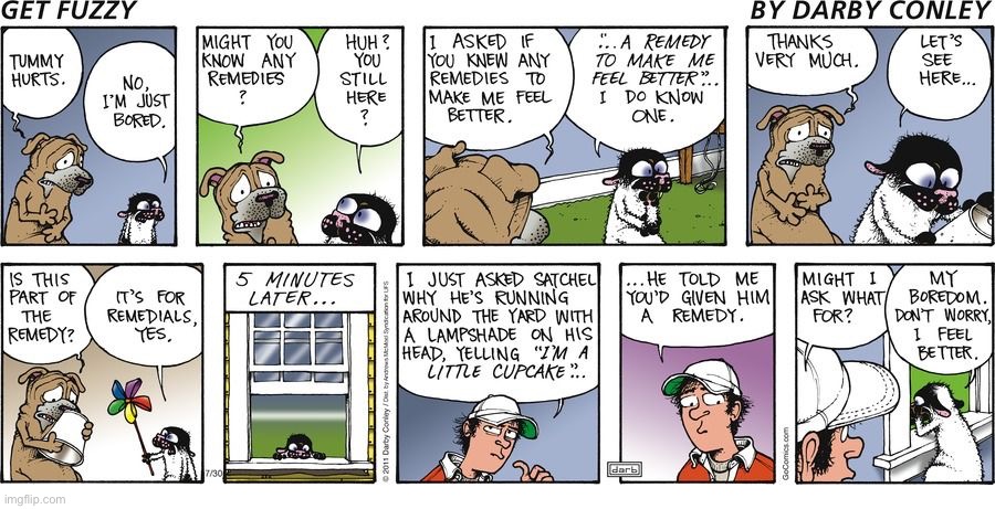 Never take advice from Bucky Katt… | image tagged in comics,get fuzzy,remedy,cat and dog | made w/ Imgflip meme maker
