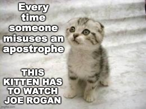 Sad Cat Meme | Every time someone misuses an apostrophe THIS KITTEN HAS TO WATCH JOE ROGAN | image tagged in memes,sad cat | made w/ Imgflip meme maker