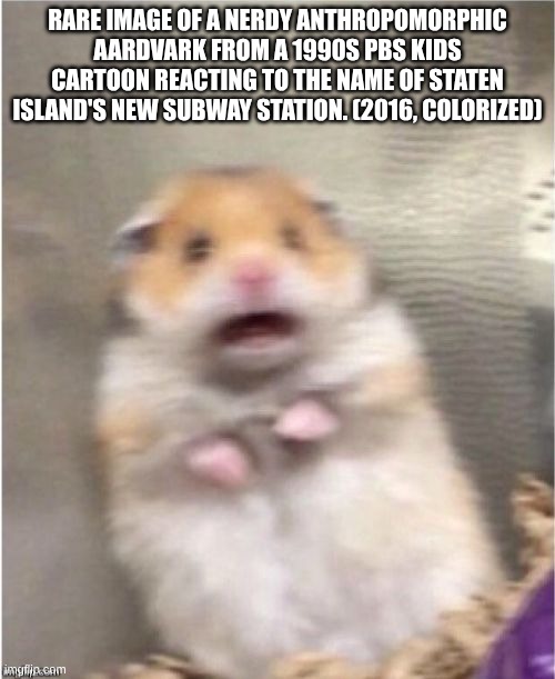 No Aardvarks Were Harmed. | RARE IMAGE OF A NERDY ANTHROPOMORPHIC AARDVARK FROM A 1990S PBS KIDS CARTOON REACTING TO THE NAME OF STATEN ISLAND'S NEW SUBWAY STATION. (2016, COLORIZED) | image tagged in scared hamster,trains,arthur,if you know you know | made w/ Imgflip meme maker