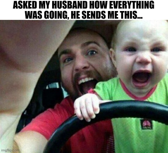 Asked My Husband How Everything Was Going | ASKED MY HUSBAND HOW EVERYTHING WAS GOING, HE SENDS ME THIS... | image tagged in chrisjoines1 | made w/ Imgflip meme maker