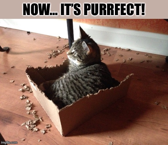 She’s been doing some renovations to her box… | NOW… IT’S PURRFECT! | image tagged in cats,box,renovations | made w/ Imgflip meme maker