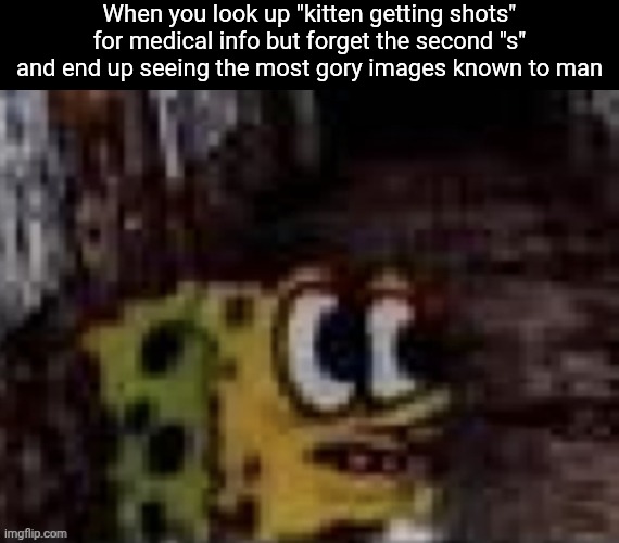 I just wanted to learn more about being a cat vet :( | When you look up "kitten getting shots" for medical info but forget the second "s" and end up seeing the most gory images known to man | image tagged in spunch bop trauma,kittens,disturbing,oh wow are you actually reading these tags | made w/ Imgflip meme maker