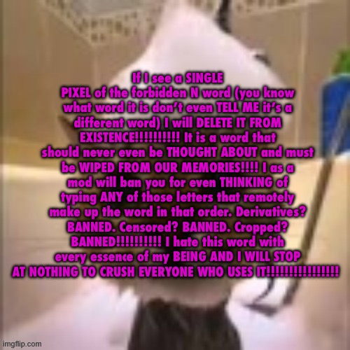 Bubl | If I see a SINGLE PIXEL of the forbidden N word (you know what word it is don’t even TELL ME it’s a different word) I will DELETE IT FROM EXISTENCE!!!!!!!!!! It is a word that should never even be THOUGHT ABOUT and must be WIPED FROM OUR MEMORIES!!!! I as a mod will ban you for even THINKING of typing ANY of those letters that remotely make up the word in that order. Derivatives? BANNED. Censored? BANNED. Cropped? BANNED!!!!!!!!!! I hate this word with every essence of my BEING AND I WILL STOP AT NOTHING TO CRUSH EVERYONE WHO USES IT!!!!!!!!!!!!!!!! | image tagged in bubl | made w/ Imgflip meme maker
