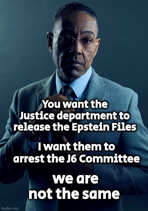 The Video Evidence Is Enough | You want the Justice department to release the Epstein Files; I want them to arrest the J6 Committee; we are not the same | image tagged in gus fring we are not the same,lies,fabrication,payed witnesses,democrats democratting,traitors | made w/ Imgflip meme maker