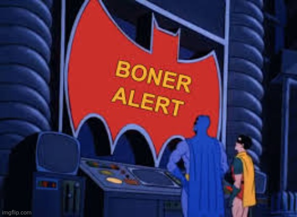 Boner Alert! Boner Alert! | image tagged in boner alert boner alert | made w/ Imgflip meme maker