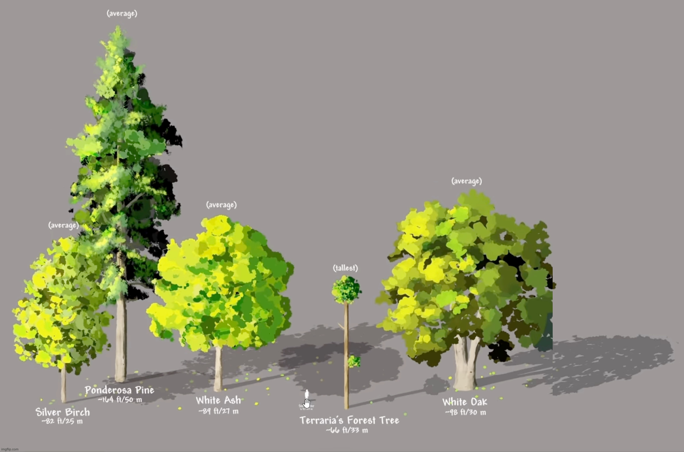 Terraria trees are actually small when compared to irl ones | made w/ Imgflip meme maker