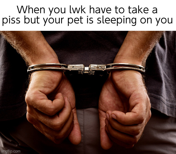 Handcuffs | When you lwk have to take a piss but your pet is sleeping on you | image tagged in handcuffs | made w/ Imgflip meme maker