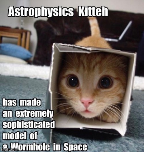 Wormhole | image tagged in cats,funny cat memes,outer space,astronomy,cute cats,fun | made w/ Imgflip meme maker