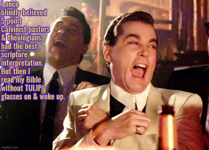 Good Fellas Hilarious | I once blindly believed 5 point Calvinist pastors & theologians had the best scripture interpretation. But then I read my Bible without TULIP glasses on & woke up. | image tagged in good fellas hilarious,calvinism,arminian,reformed theology 5 point calvinists,ditch your tulip glasses,divine ai theology | made w/ Imgflip meme maker